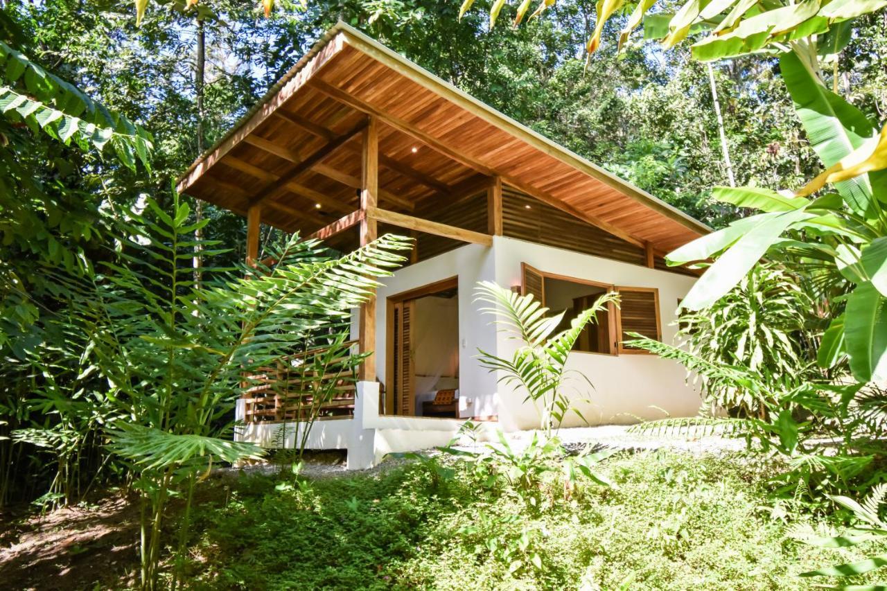 Satta Lodge (Adults Only) Puerto Viejo de Talamanca Exteriér fotografie