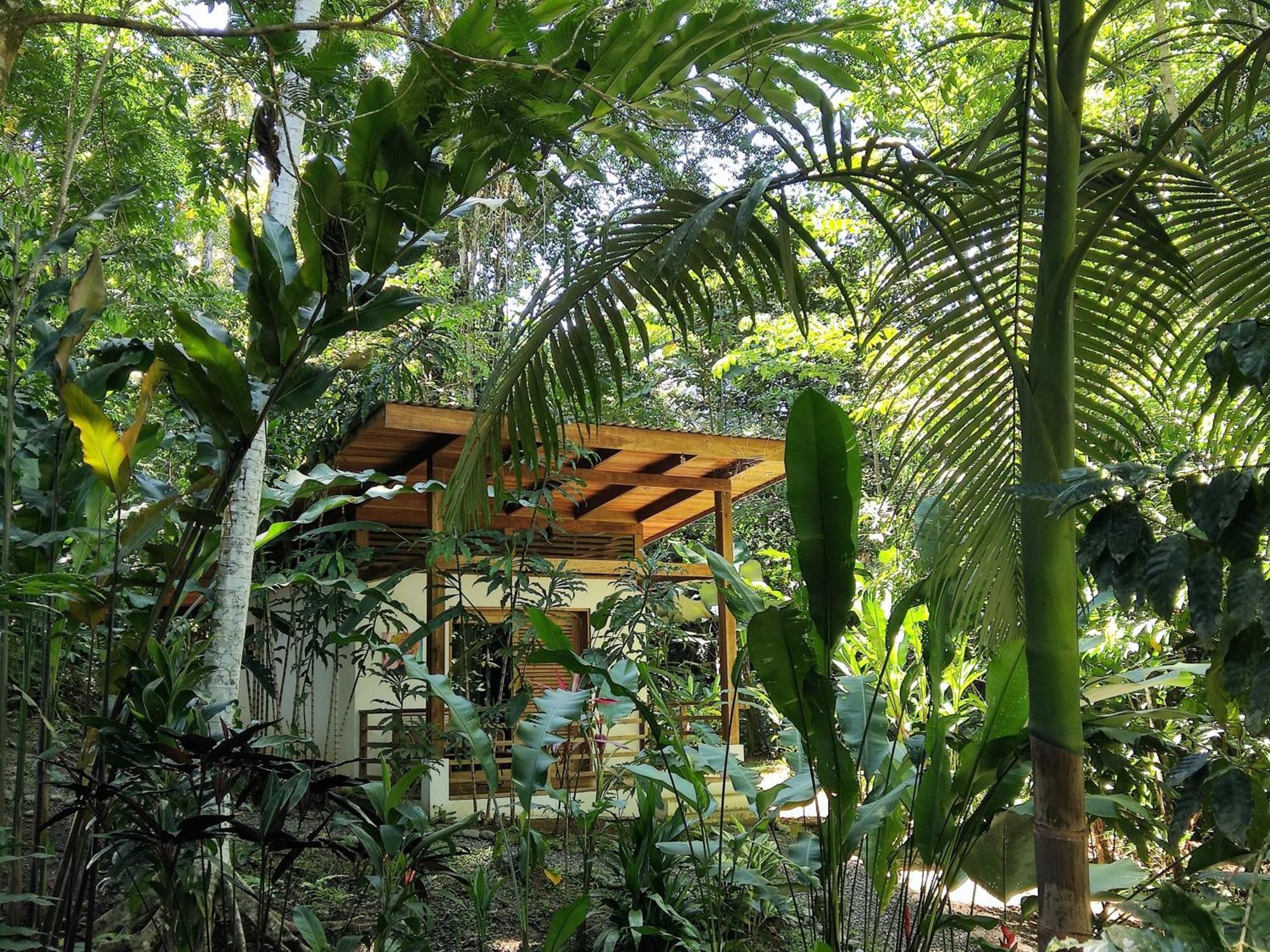 Satta Lodge (Adults Only) Puerto Viejo de Talamanca Pokoj fotografie