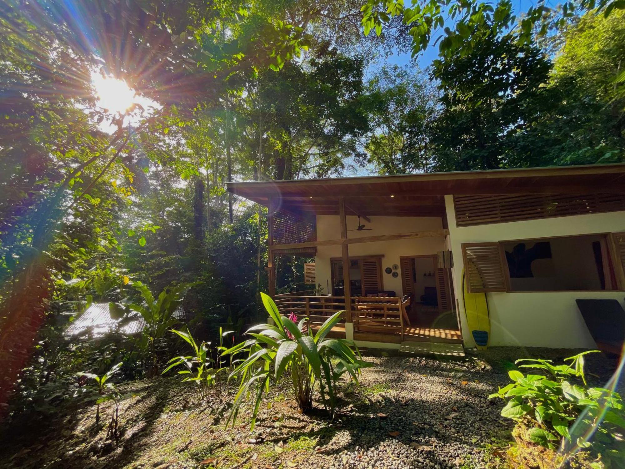 Satta Lodge (Adults Only) Puerto Viejo de Talamanca Exteriér fotografie