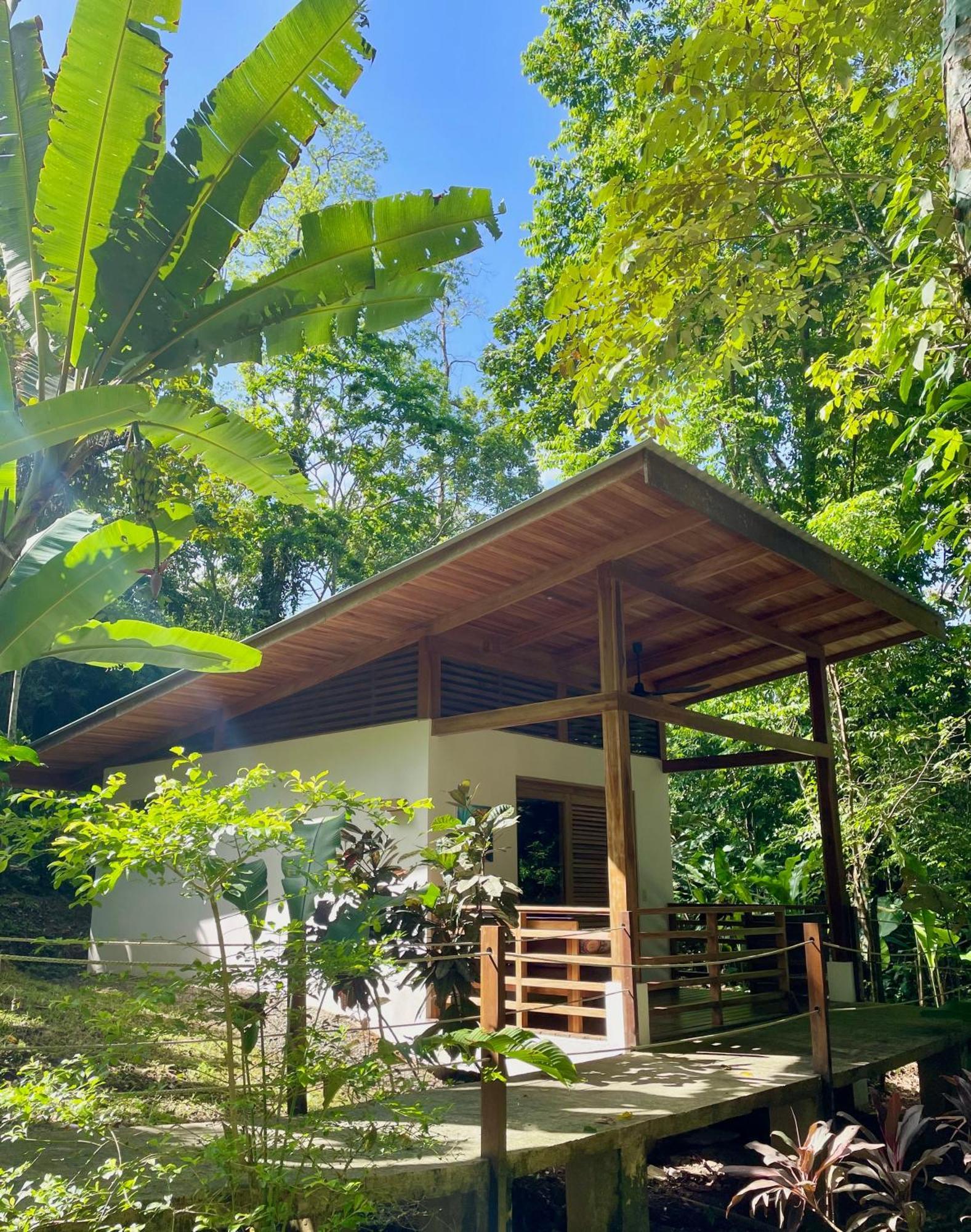 Satta Lodge (Adults Only) Puerto Viejo de Talamanca Exteriér fotografie