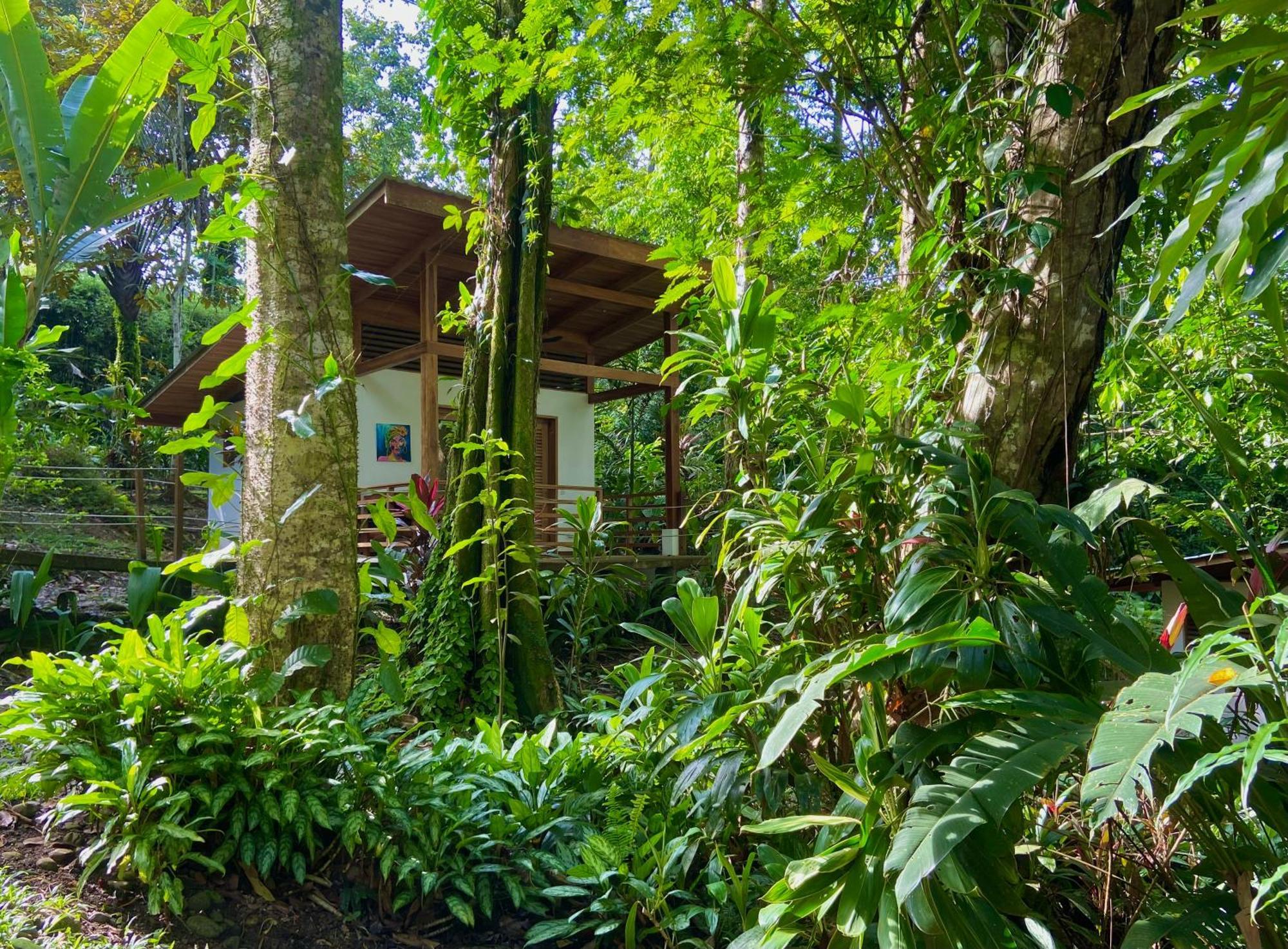 Satta Lodge (Adults Only) Puerto Viejo de Talamanca Exteriér fotografie