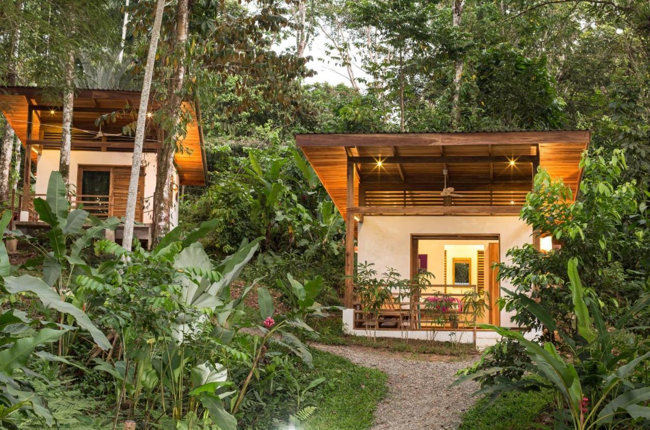 Satta Lodge (Adults Only) Puerto Viejo de Talamanca Exteriér fotografie